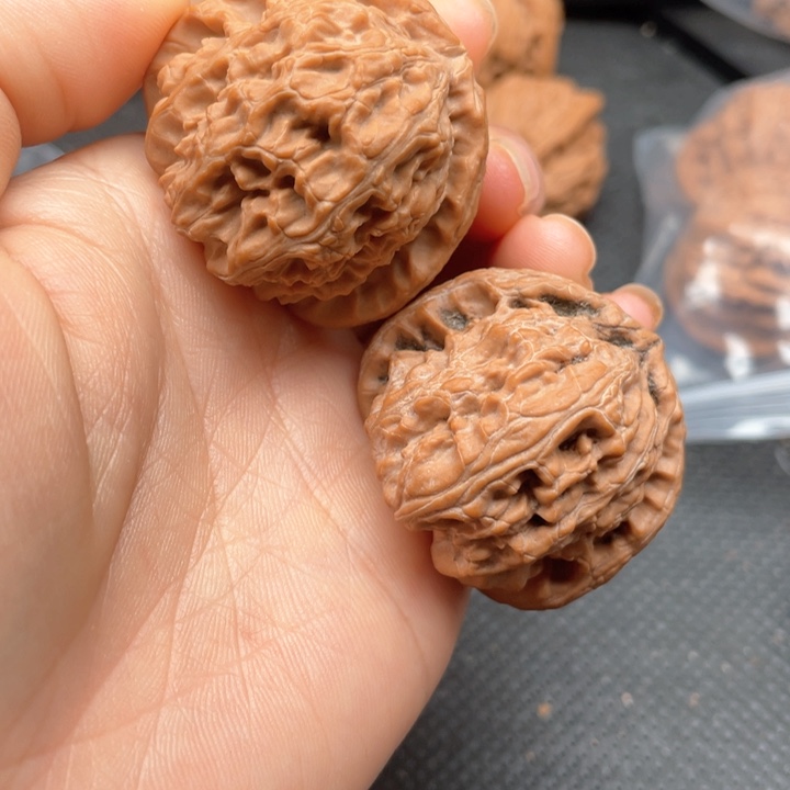 核桃手串/手链白狮子40尺全品无修