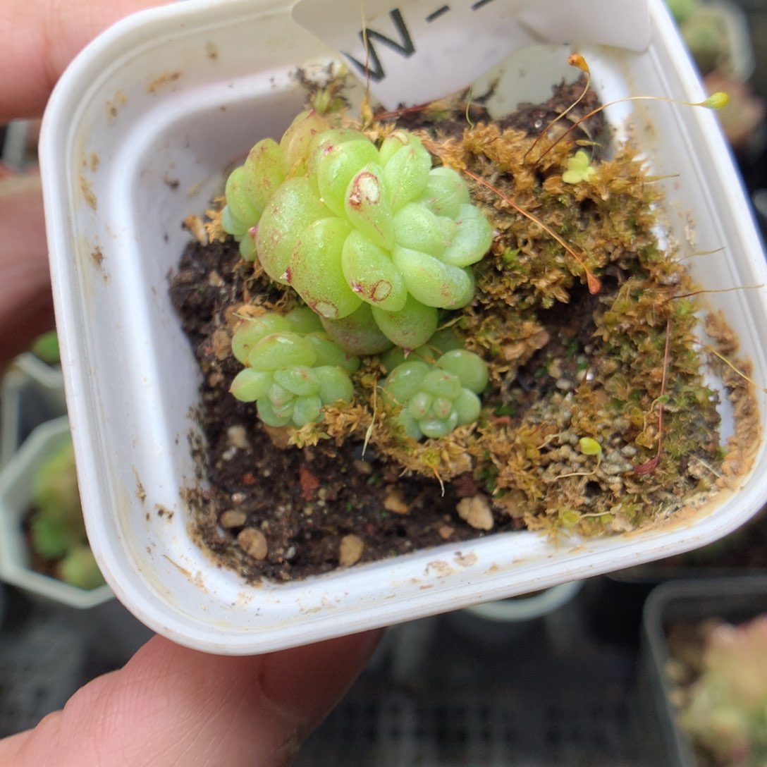 W125y y y y y y y y y y