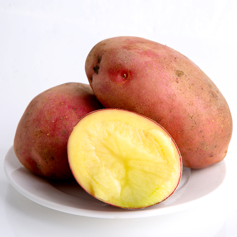 云南红皮小土豆5斤d