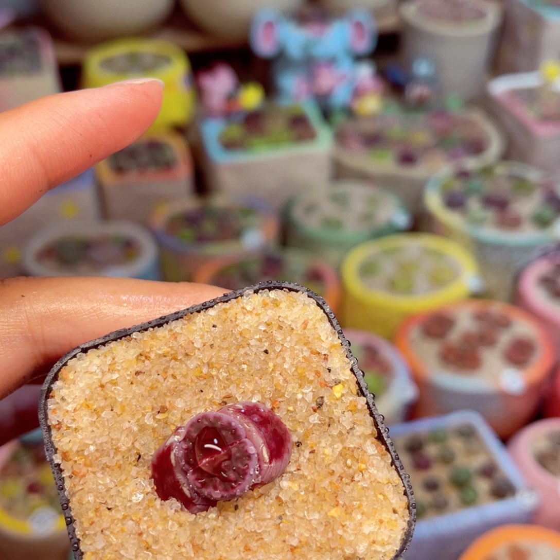 219。8888888888888888888