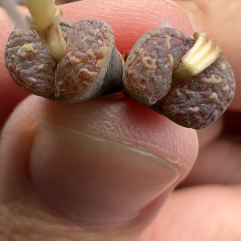 23 好看的肉肉冲冲冲冲冲冲冲冲