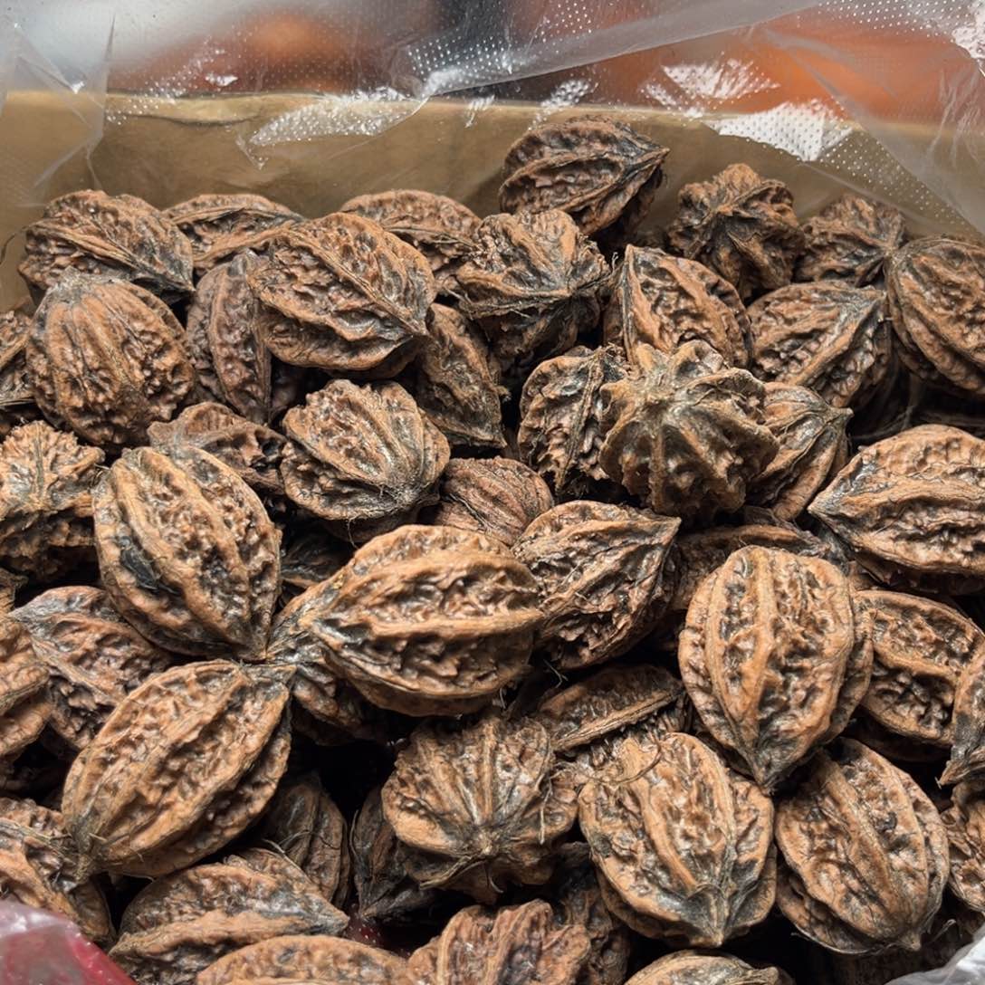 手串文玩核桃核桃70