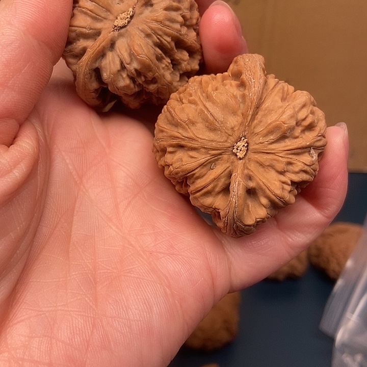 捣***哥大大大大大粗筋歪有黄