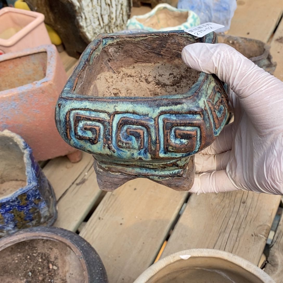 红陶沉**铛12号多肉盆一个呀