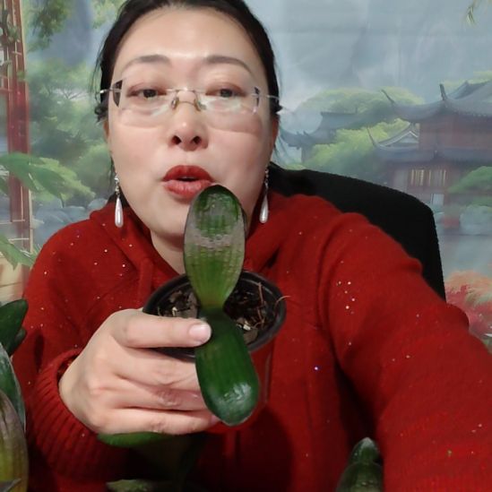 小***哥完全开放粉丝元旦福利