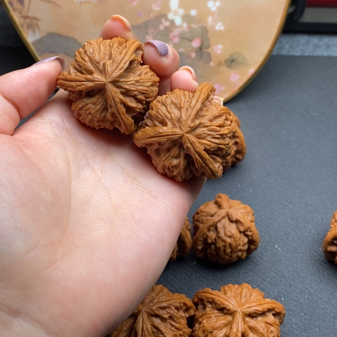 战**王白狮子111111111111