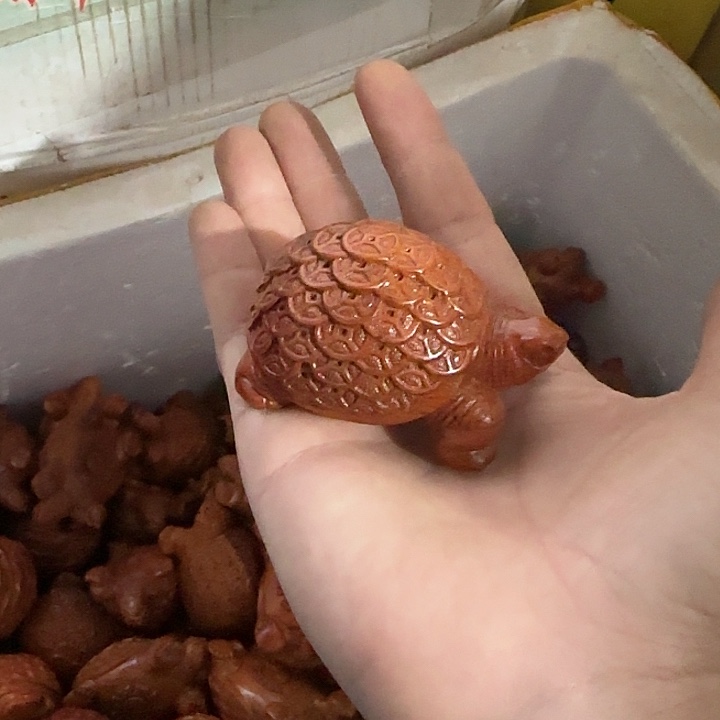 木花梨木7金钱龟一只