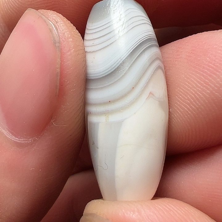 我们都是在这里看到的哈
