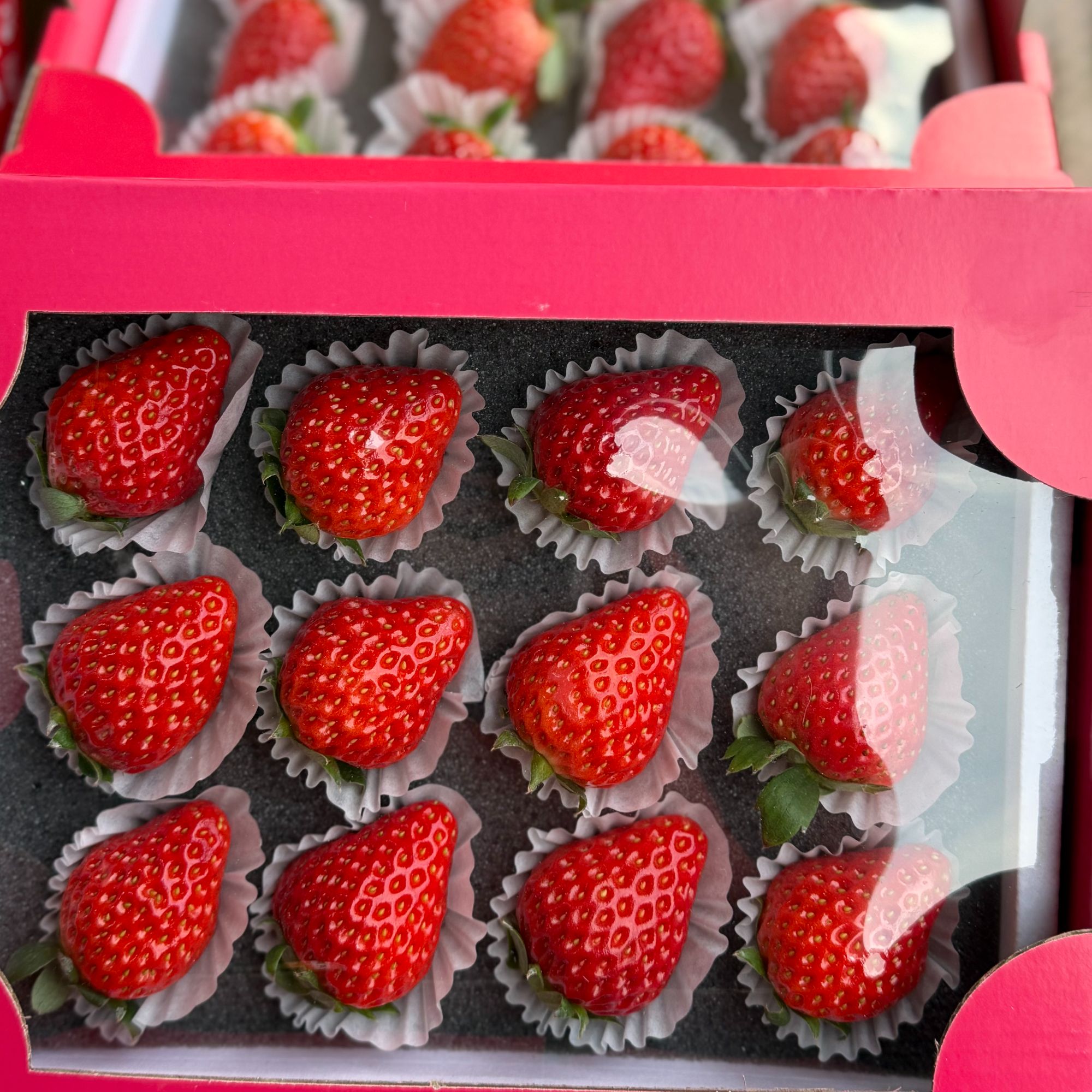 【海鑫甄选】正宗丹东九九新鲜采摘香甜饱满当季水果