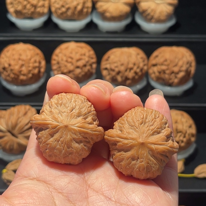 精品，货头，35铁锤037