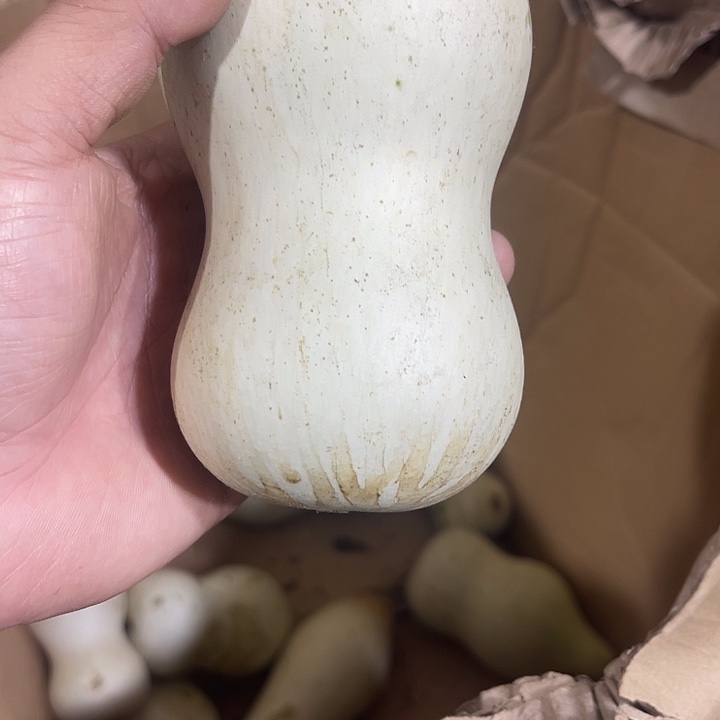 非洲紫檀（红花梨）7****5