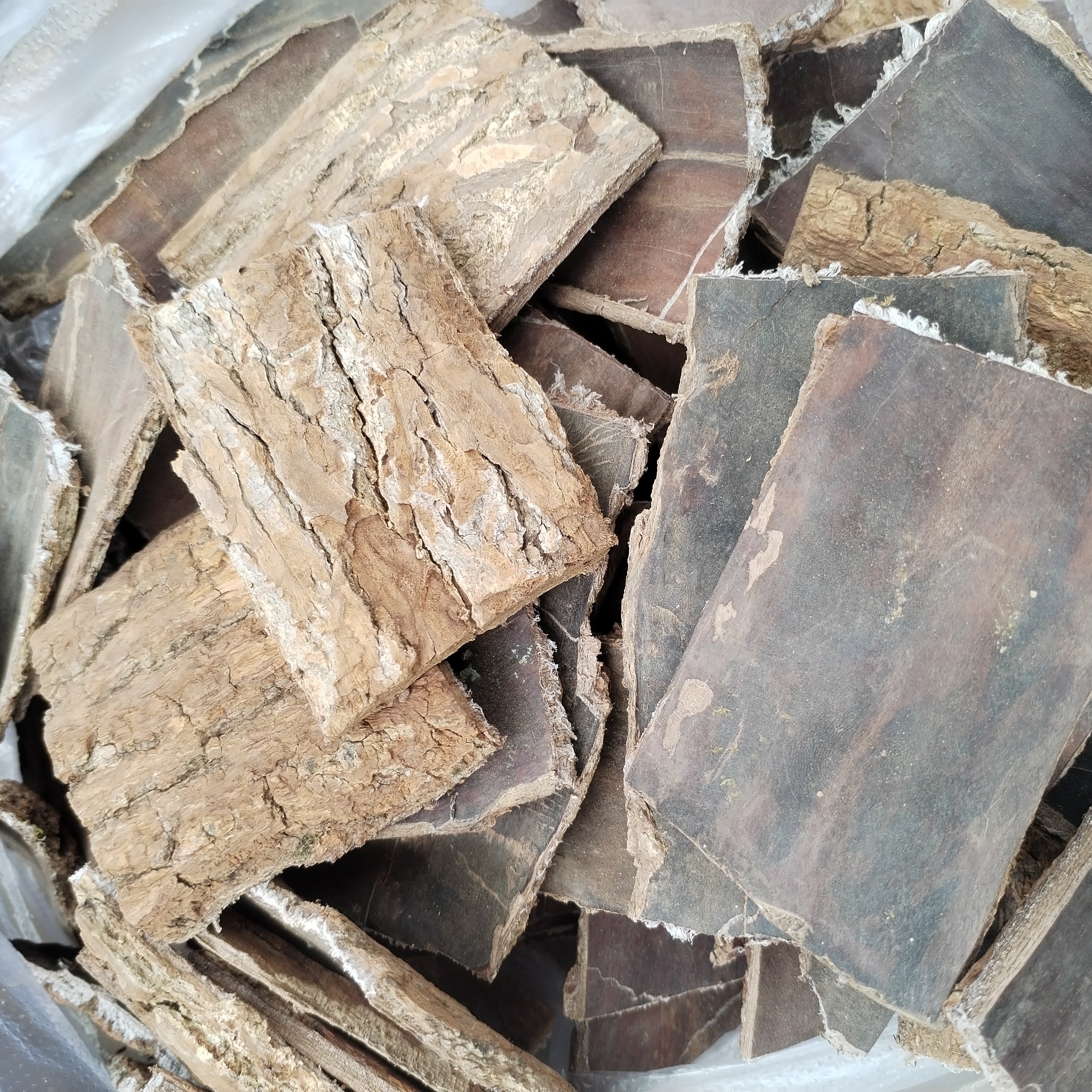 贵州深山杜仲干货500克包邮