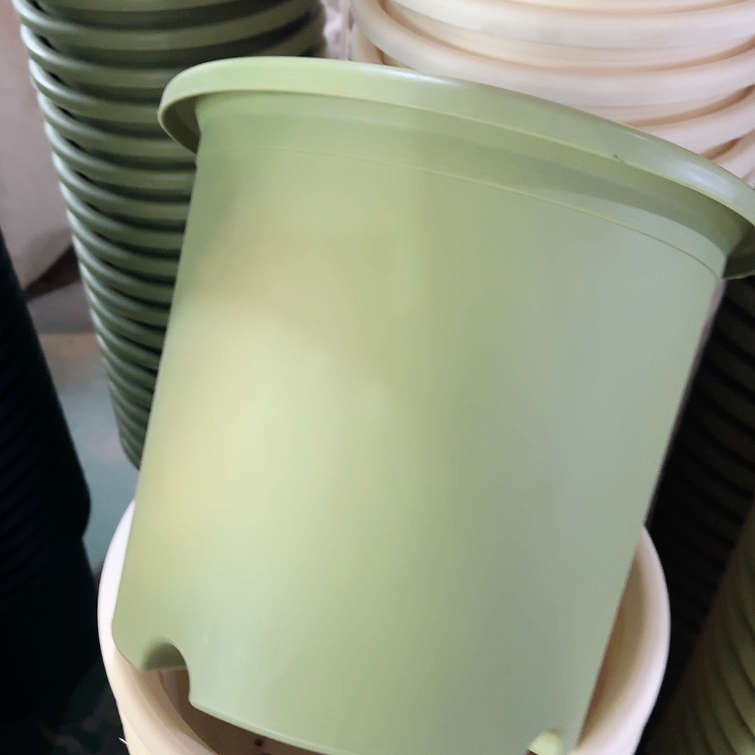 树脂四季6#无拖果绿5个