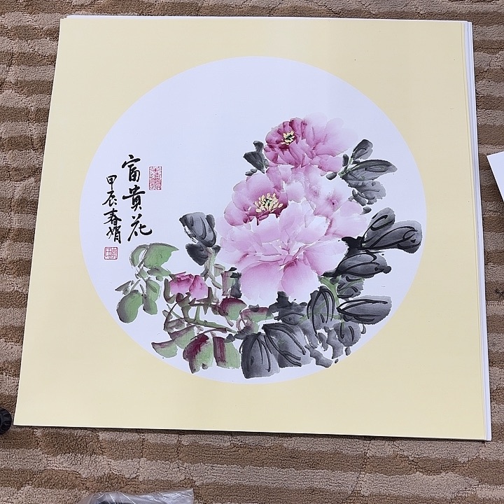 国画花鸟的翅膀和翅膀50.50