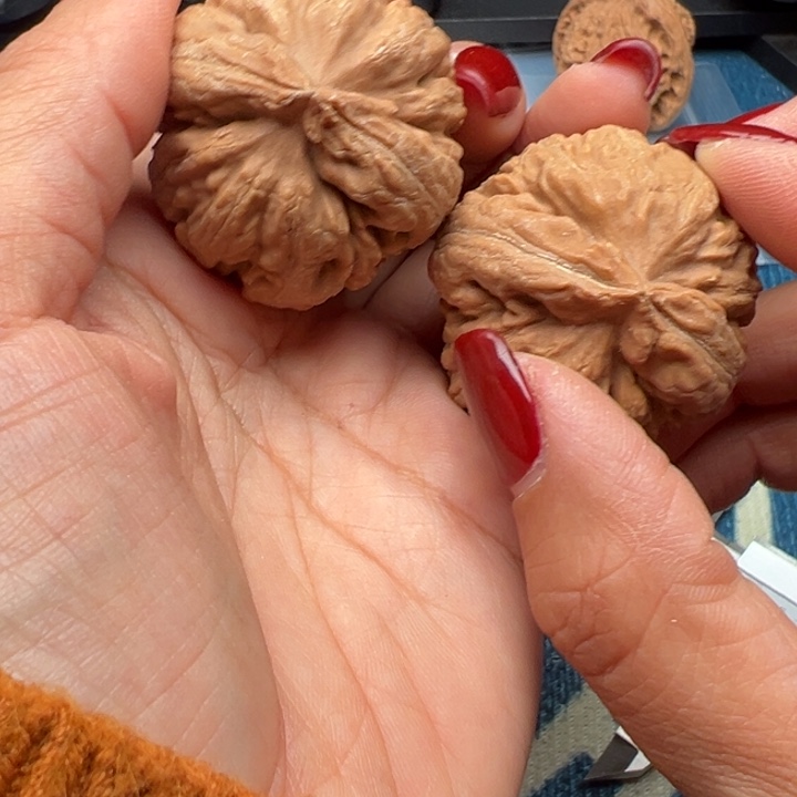 吊坠桃核文玩霸王龙