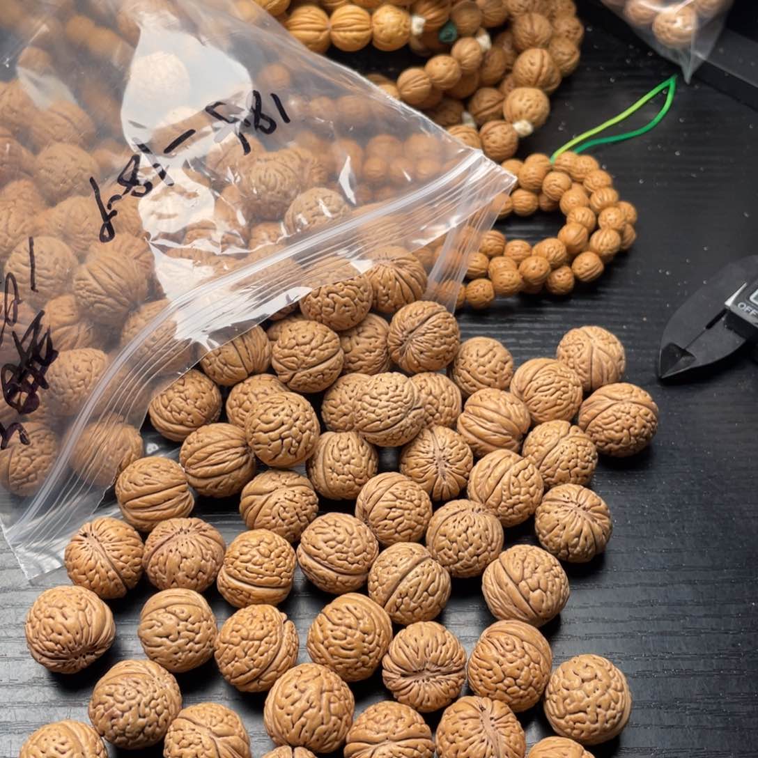 【闪购商品】飘***基散子发货80米