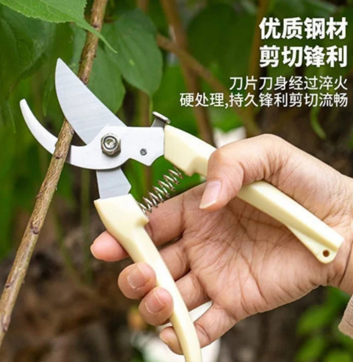 SK5精钢修剪花卉花枝五金专用剪刀修花剪枝园艺强力不锈钢省力