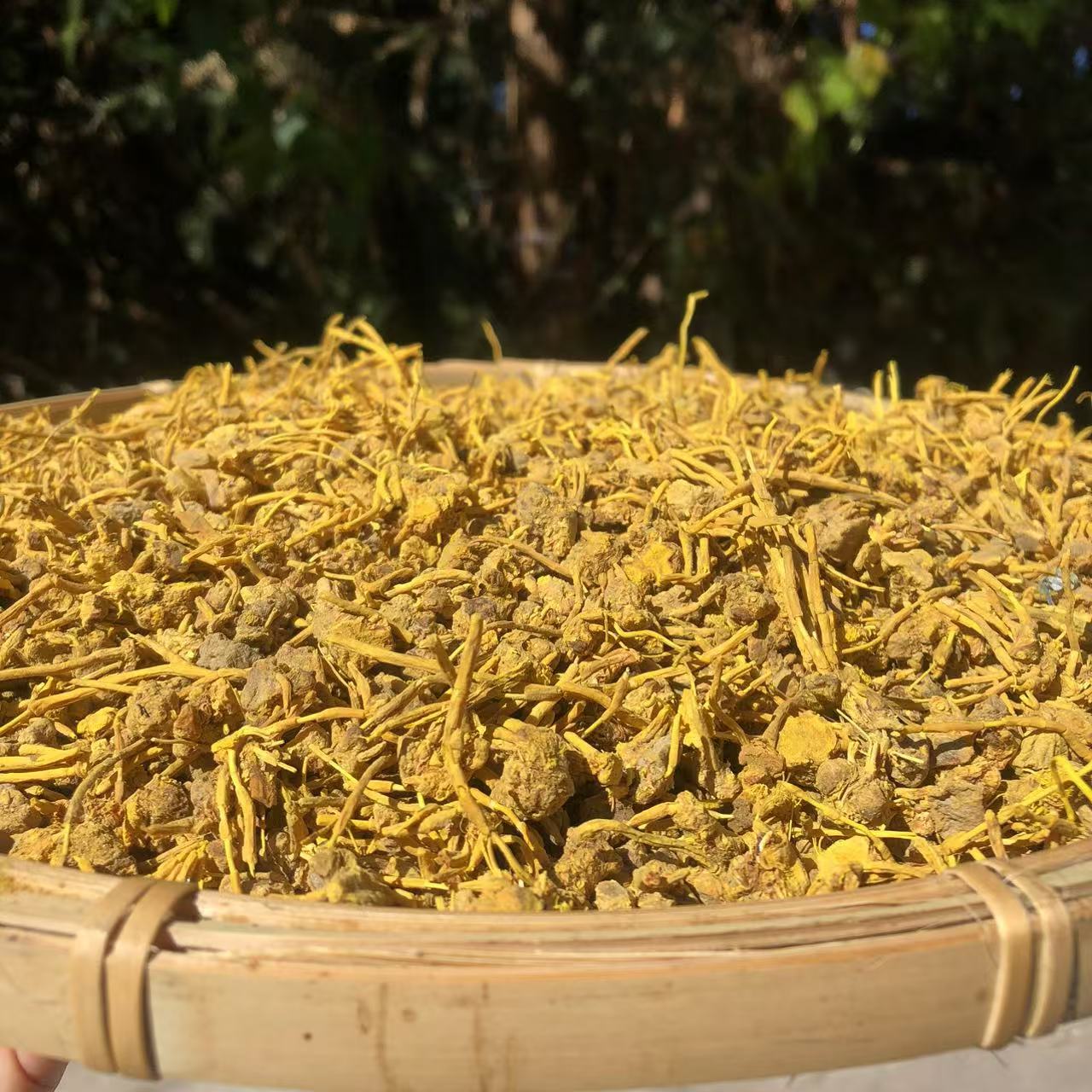 2【龙-须-石-斛】净含量500g-1000g【金金现收】