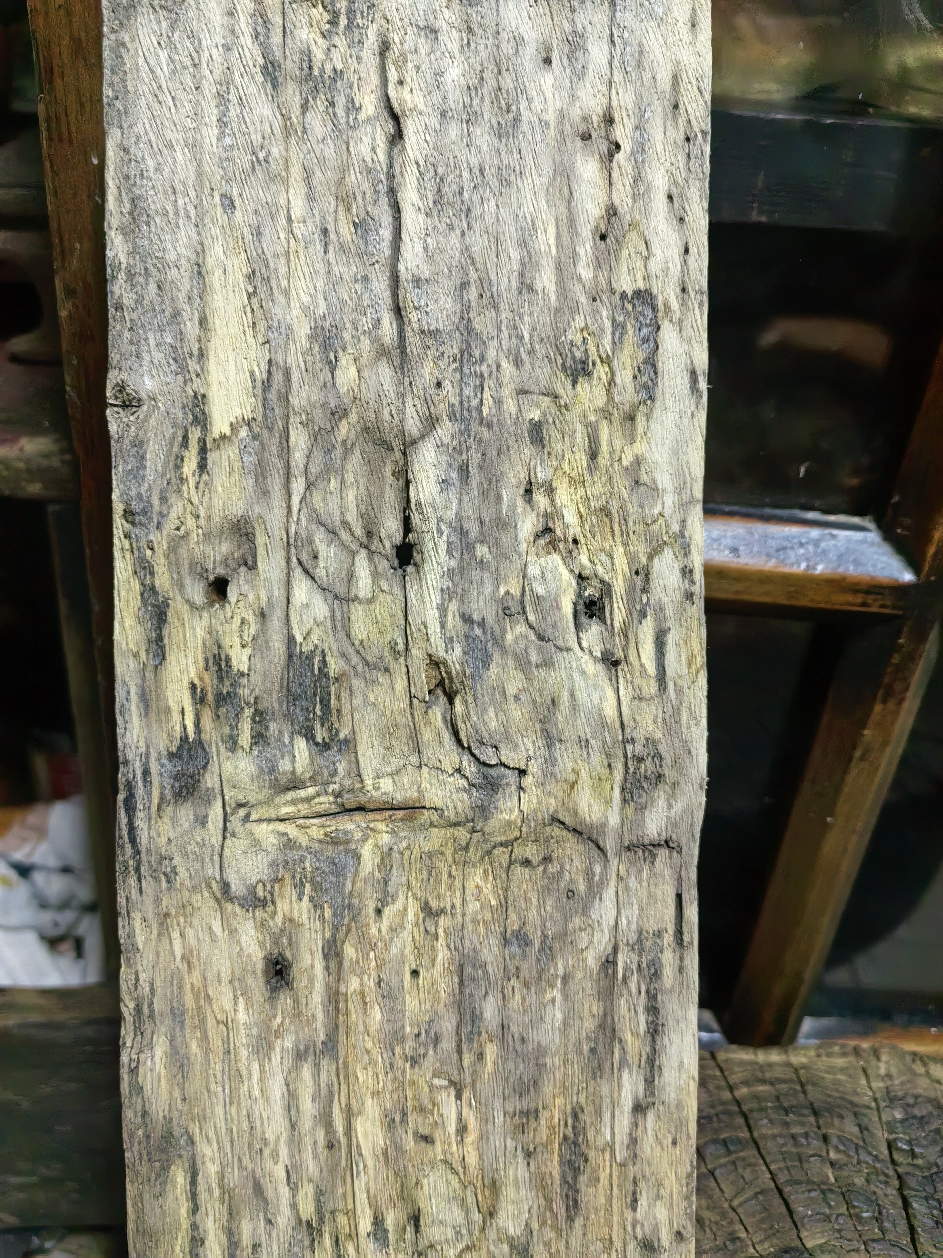 家居客厅玄关办公室桌面装饰创意自然木质摆件