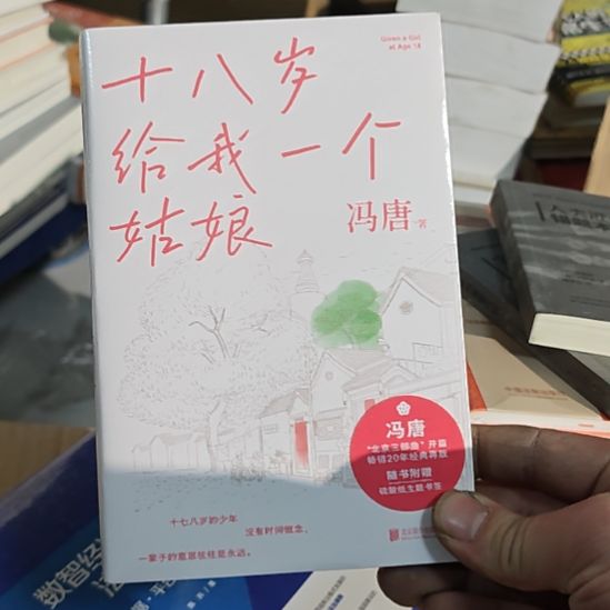 18岁给我一个姑娘，冯唐著作的一本书。