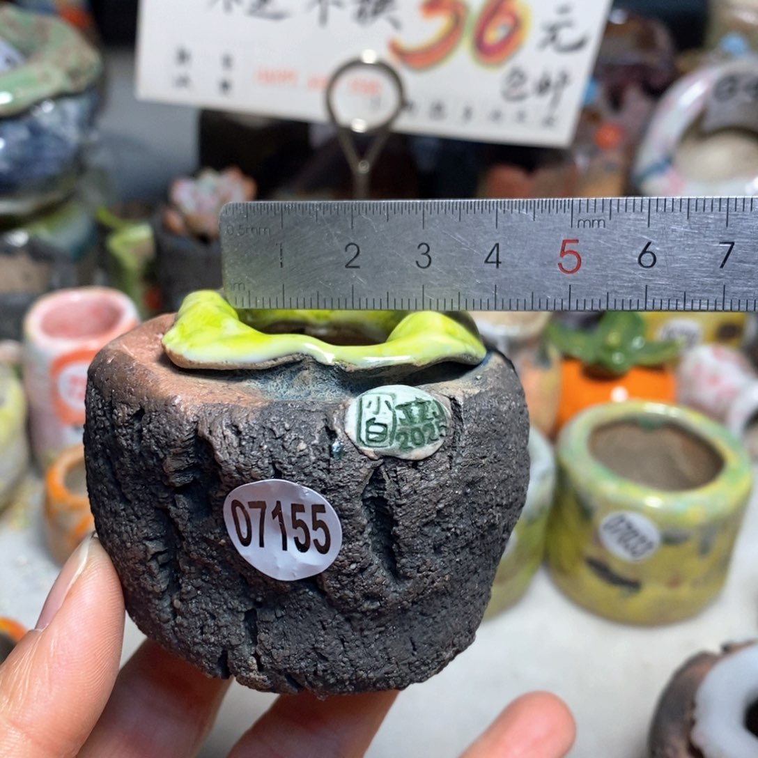 拍3送一个小礼物元旦快乐花盆