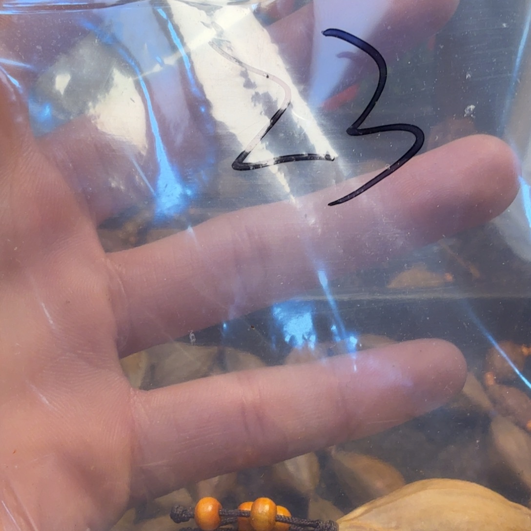 橄榄核手串/手链福利