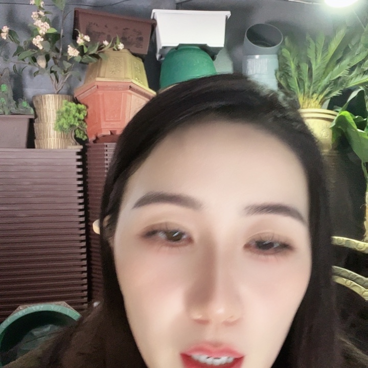 圆30二十个 八角40五个 盆景40十个 盆景60五个