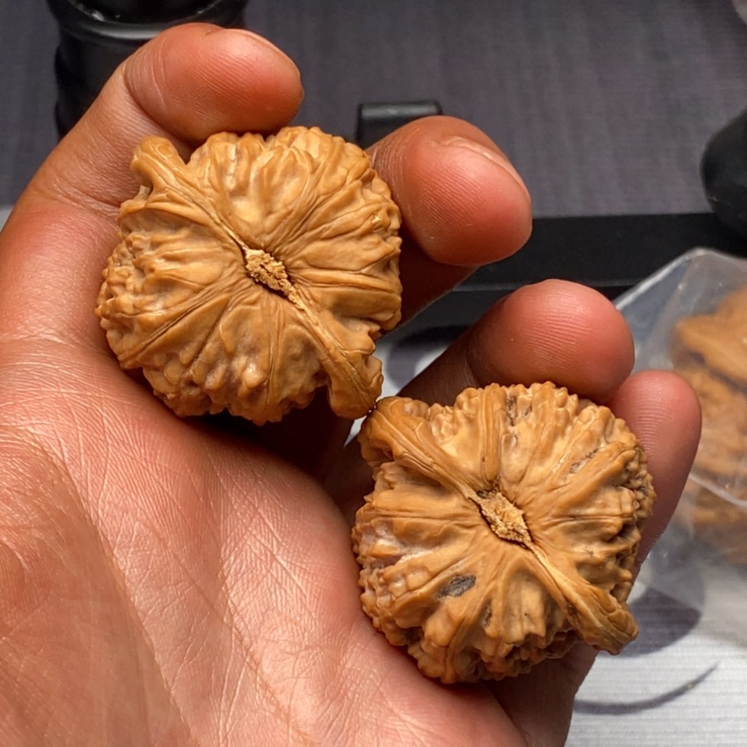 文玩核桃把件全品球白39尺