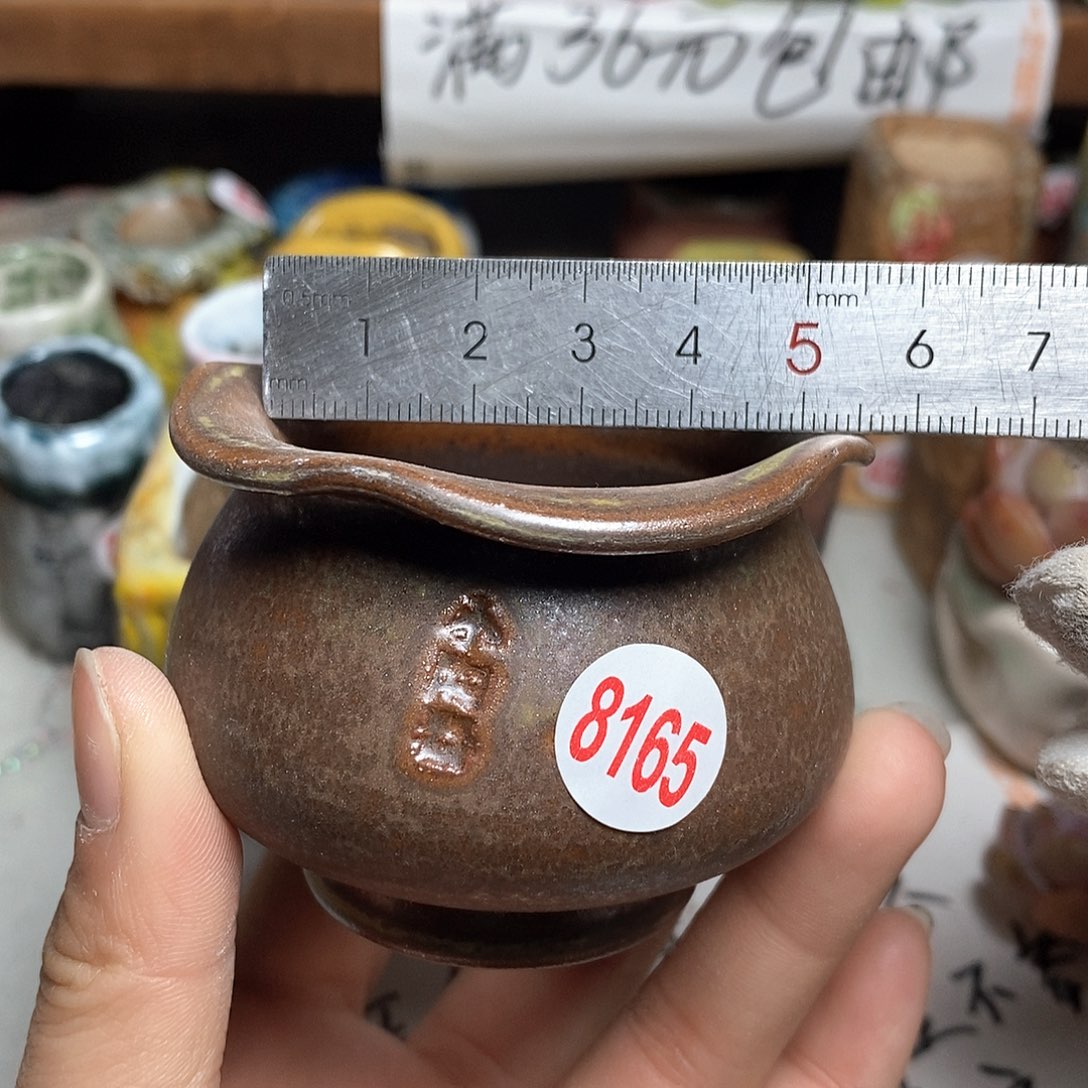 红陶拍5送一个小