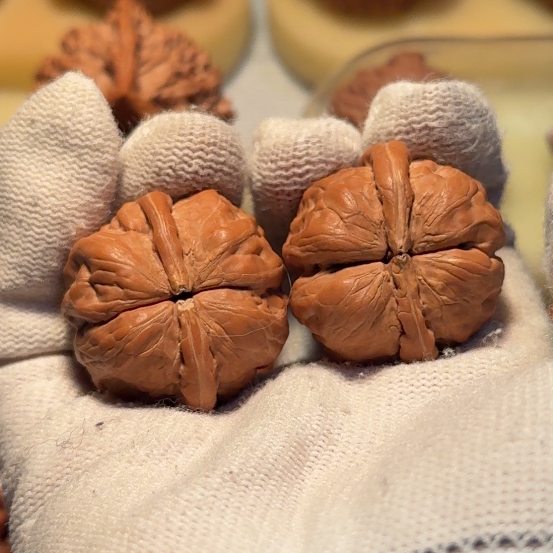 文玩核桃吊坠蛤蟆头蝴蝶连体