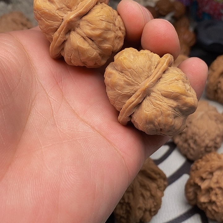 桃核把件?*蛤蟆头狮子头