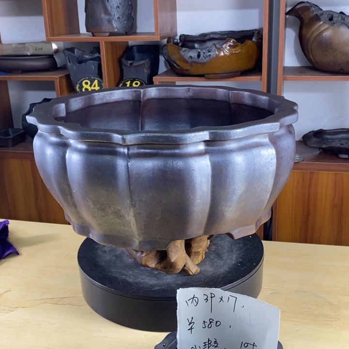 今*大何紫砂花盆