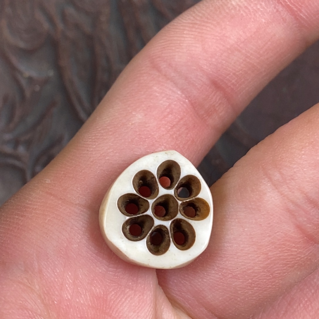 手串/手链驼骨配饰1