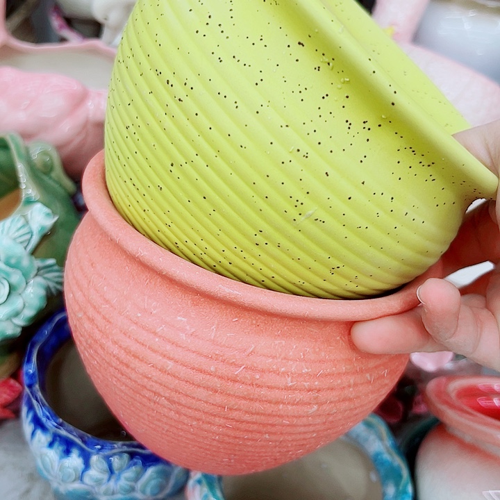 多肉植物陶瓷花盆