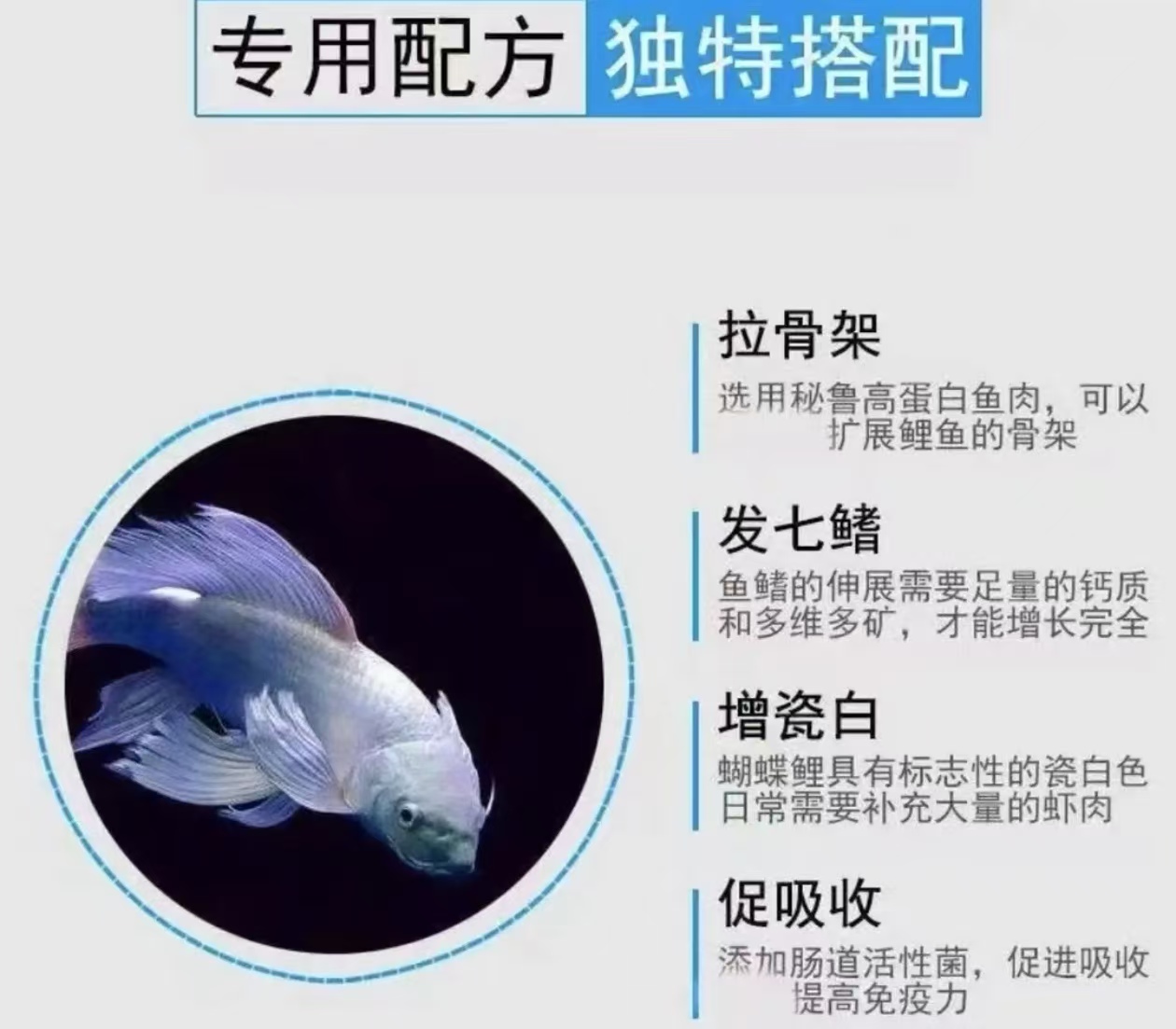 台湾蝴蝶鲤专用鱼饲料高蛋白鱼粮喂食精选优质健康上浮鱼粮