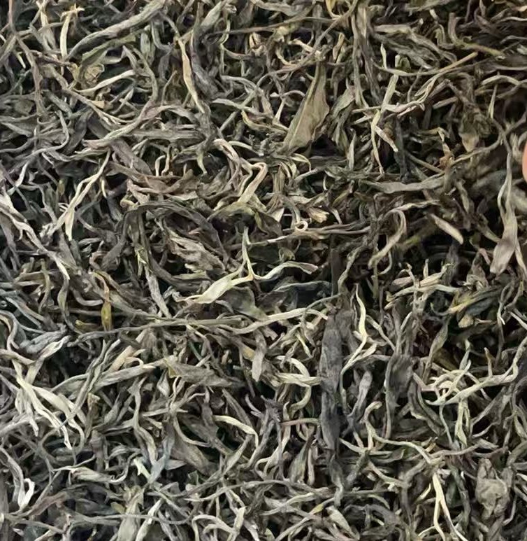 2024年弯弓古树头春散茶1kg生茶    默认定制压饼 先发茶样