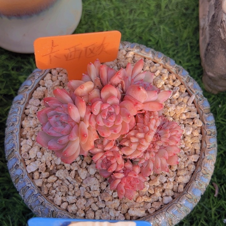 健健康康平平安安