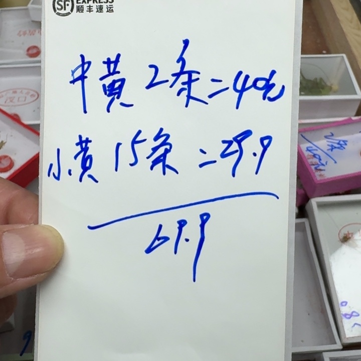 老***茂蟋蟀111111111111111