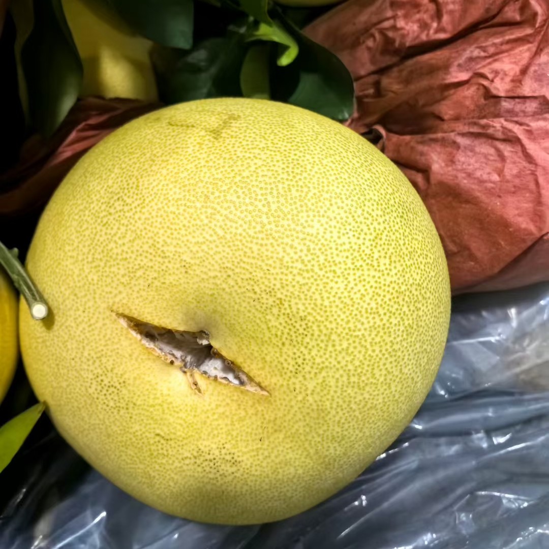 （2个装裂果）正宗玉环文旦柚老树文旦香甜多汁 当季新鲜 产地直发 