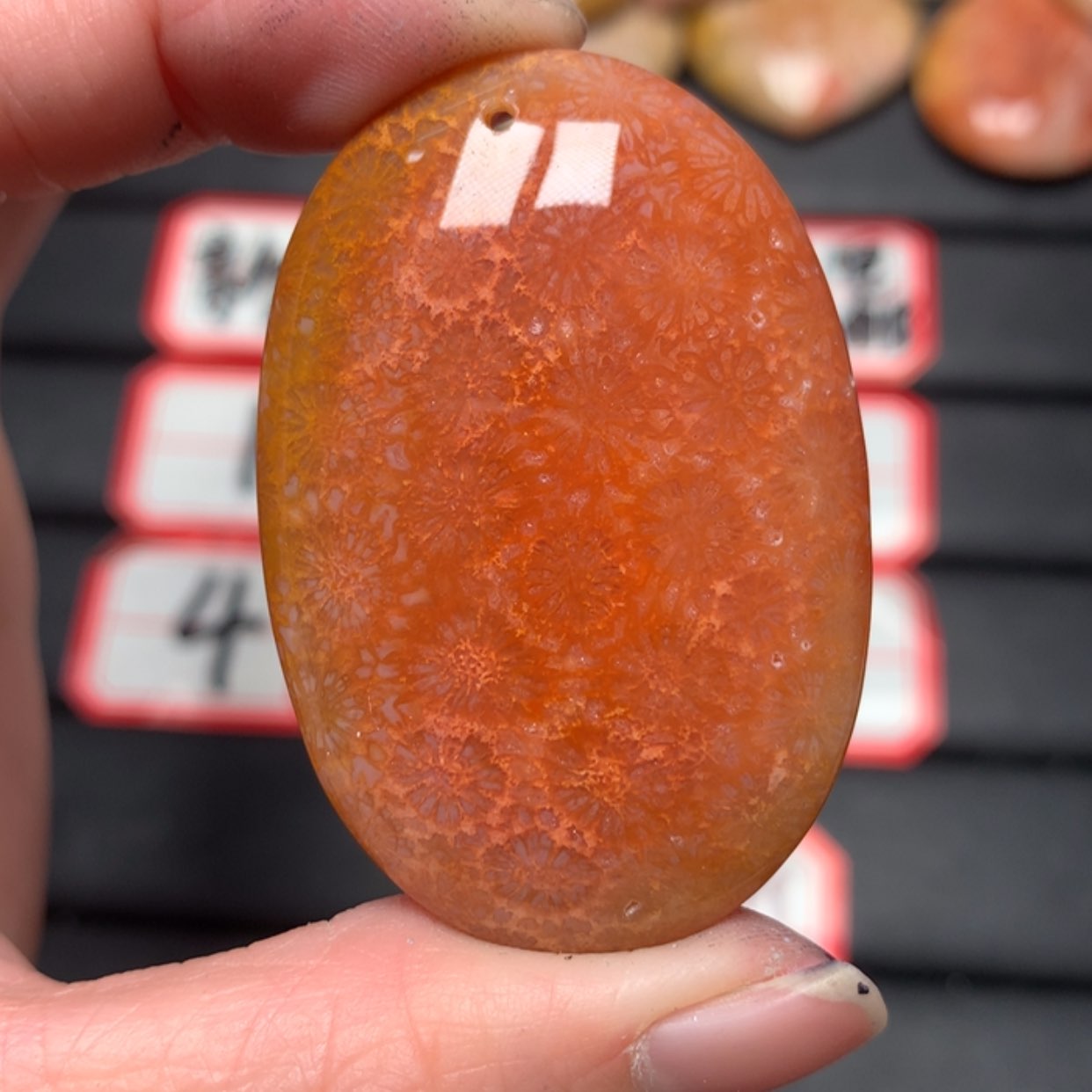 【闪购商品】硅化玉颈饰未镶嵌高*飞