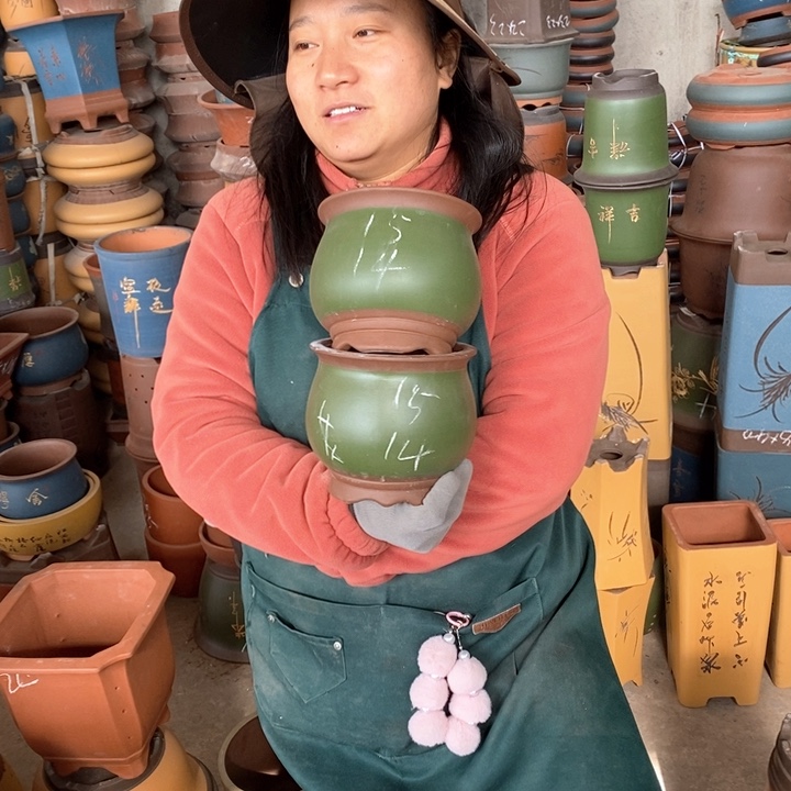 紫砂花盆盆栽花卉苗木种植