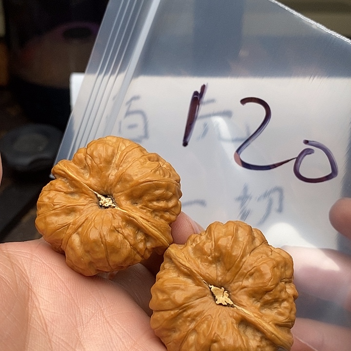 吊坠文玩核桃573735753735753357735