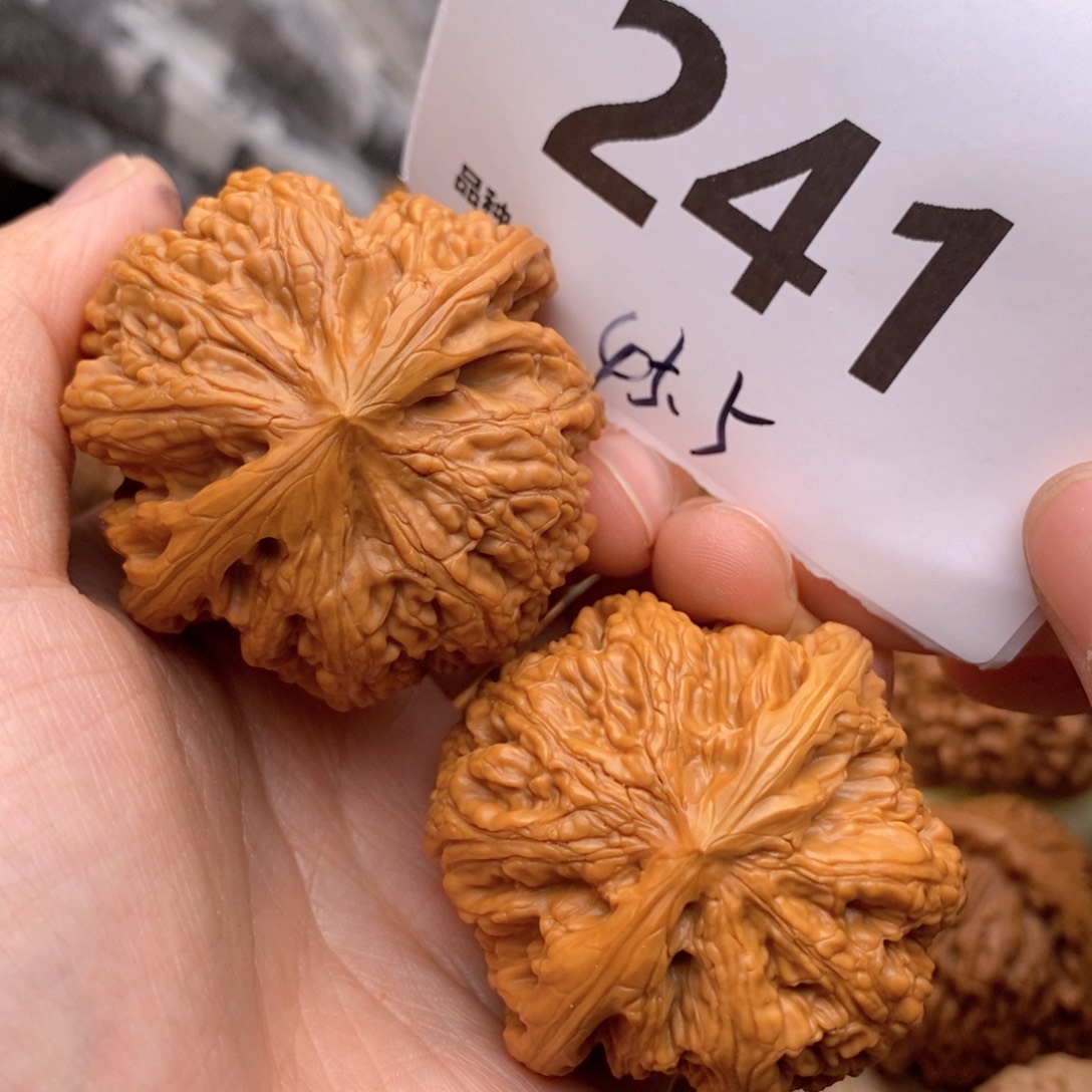 文玩核桃把件241号45.5粗筋