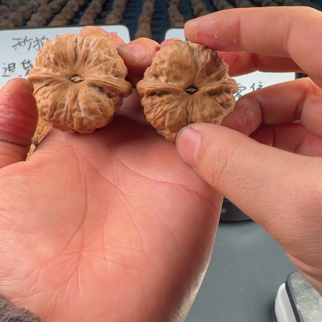 就***色文玩核桃吊坠蛤蟆的眼睛是真的好看啊我