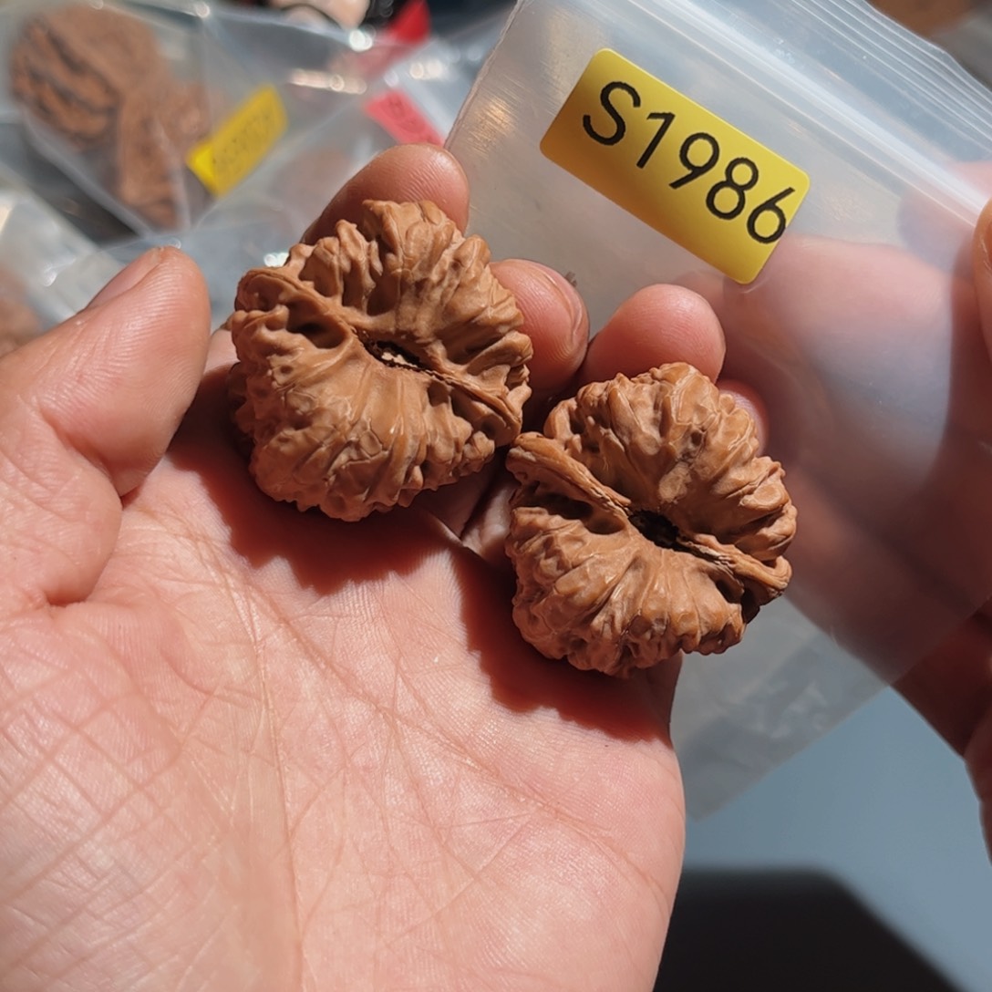 文玩核桃把件凹的