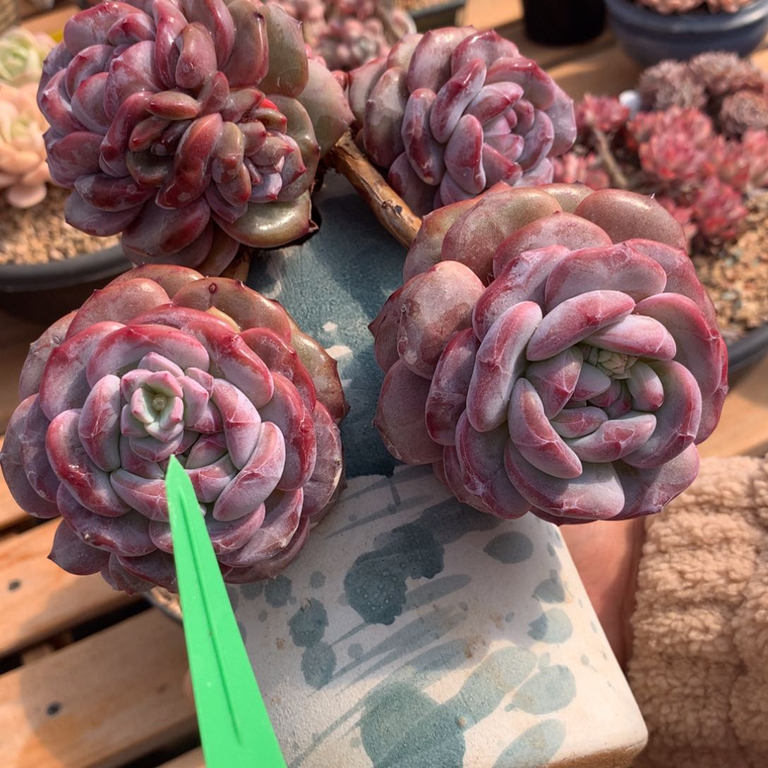 空*。哈哈哈哈哈哈哈哈哈哈哈吧