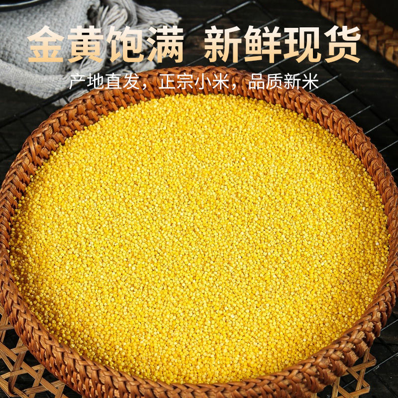 农家自种米香油厚黄小米新米适合熬制小米粥