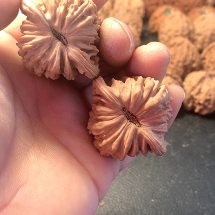 【闪购商品】既*此楼