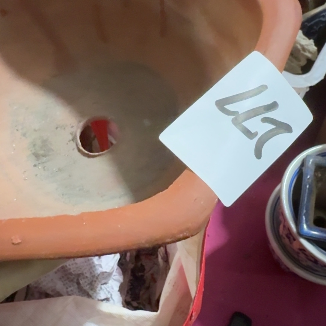 M***Z杂色豆（科檀/科特迪瓦檀木）