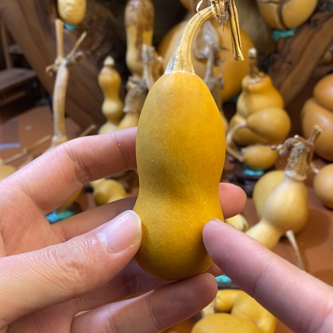 安***卿教练咯教练教练教练啦
